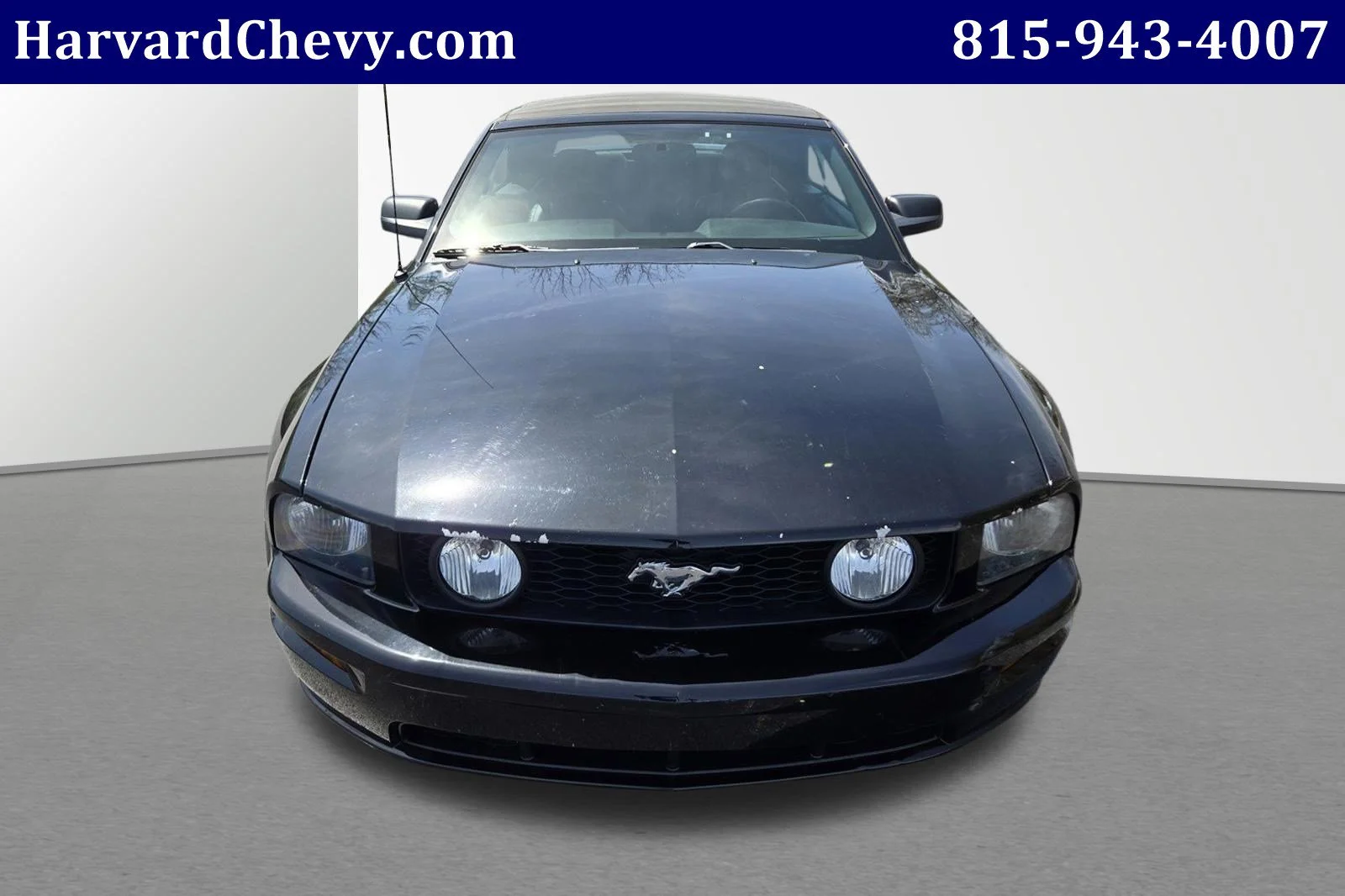 Used 2006 Ford Mustang GT Deluxe with VIN 1ZVFT85H365169663 for sale in Harvard, IL