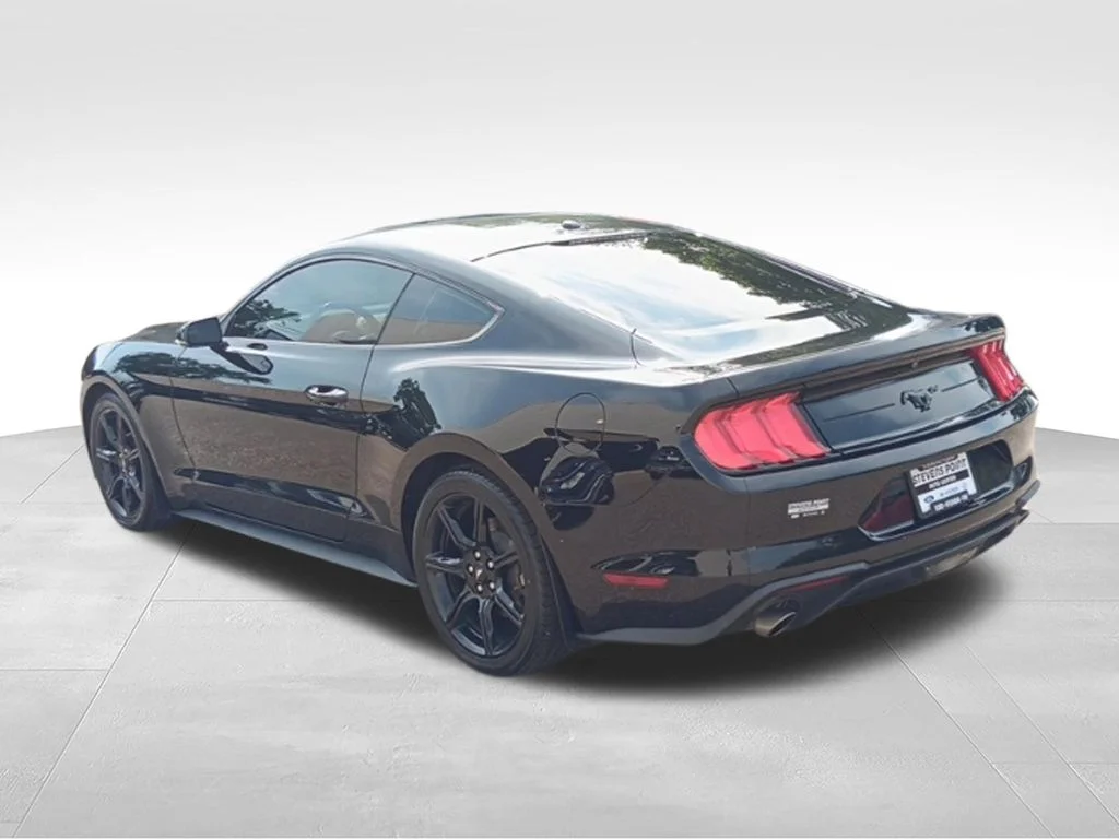Used 2019 Shadow Black Ford EcoBoost Premium image 9