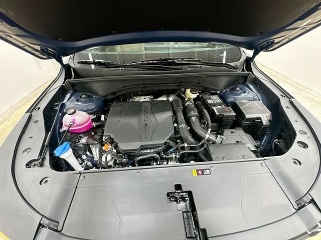 New 2026 Blue Kia X-Line SX Prestige image 19