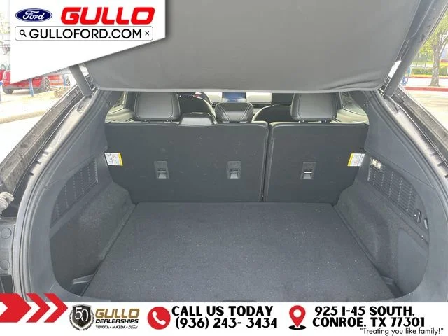 Used 2024 Shadow Black Ford Premium image 10