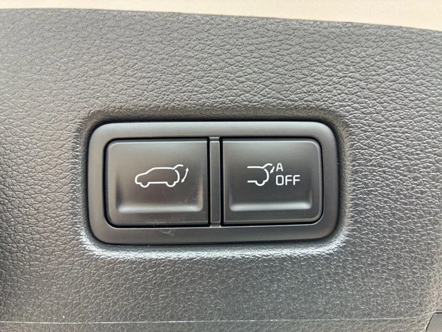 Certified Used 2025 Wolf Gray Kia EX X-Line image 9