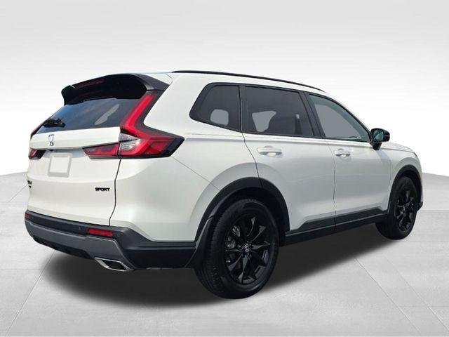 New 2026 Platinum White Pearl Honda Sport-L image 6