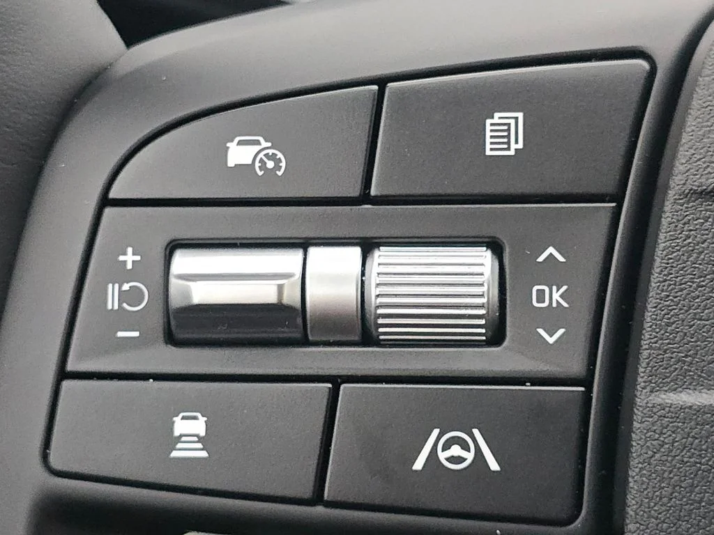 New 2026 Panthera Metal Kia EX image 29