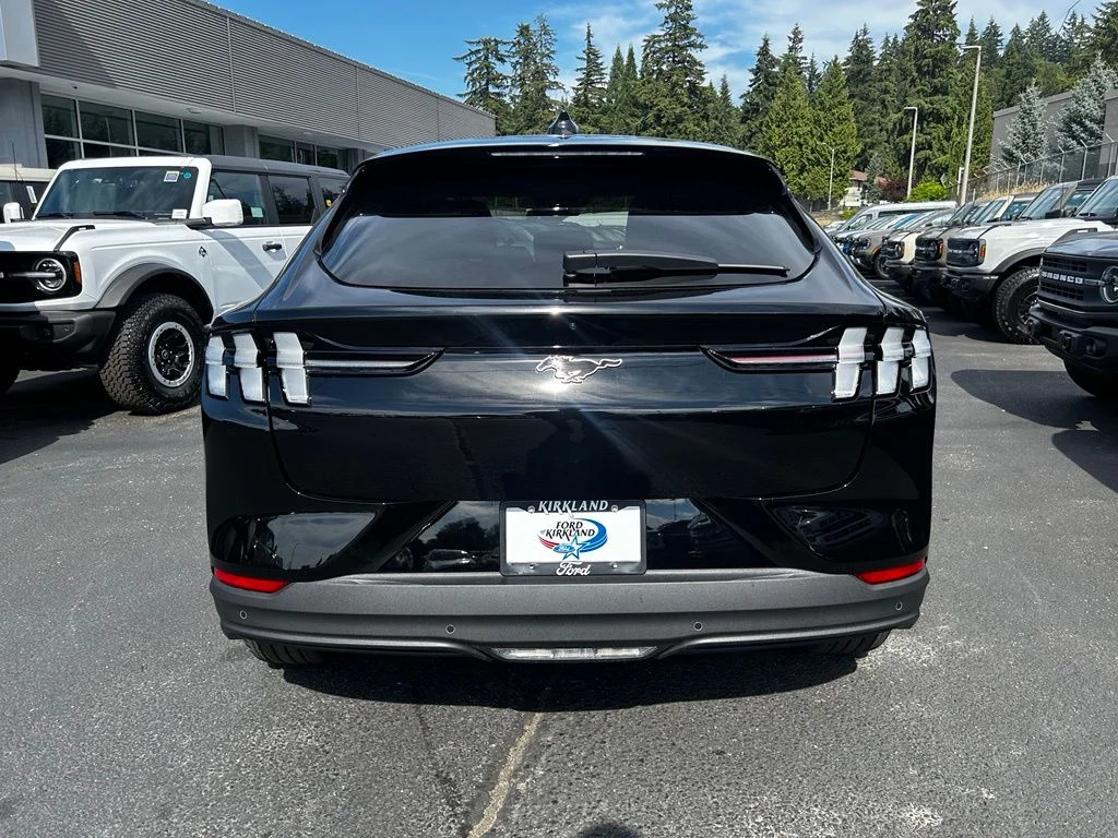 New 2026 Shadow Black Ford Premium image 8