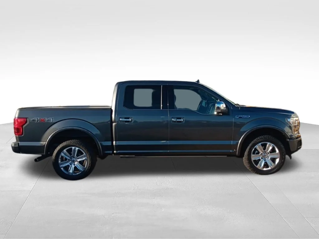 Used 2018 Magnetic Ford Platinum image 8