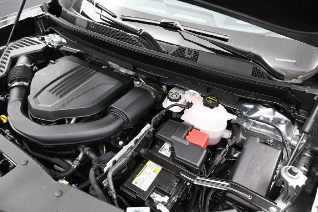 Photo 41