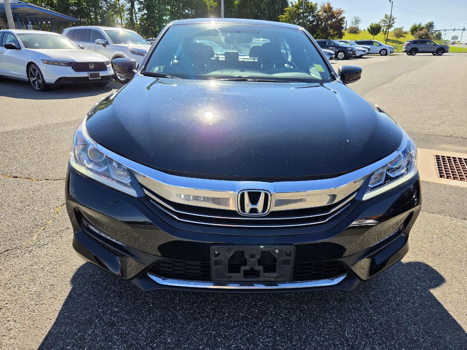 Used 2016 Crystal Black Pearl Honda Sport image 2