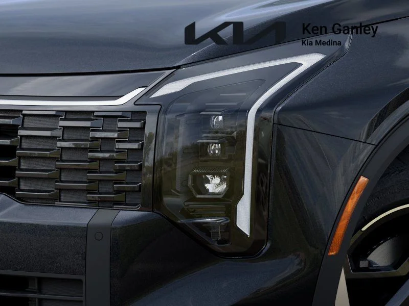 New 2026 Panthera Metal Kia EX image 10