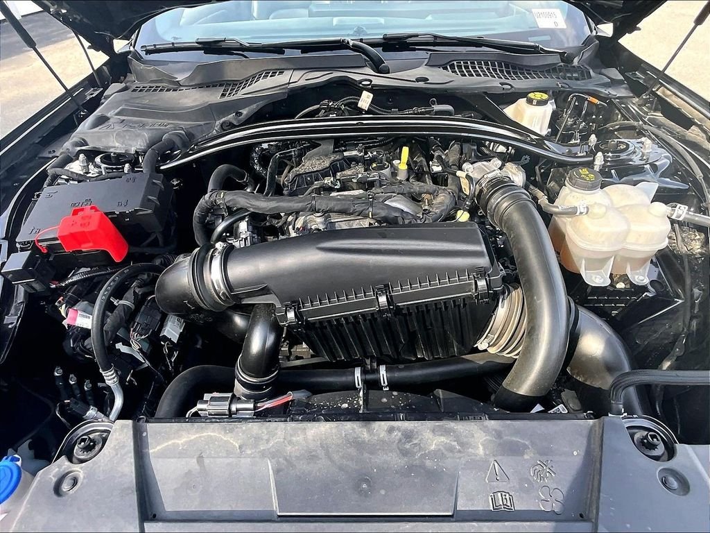 Used 2025 Shadow Black Ford EcoBoost Premium image 26
