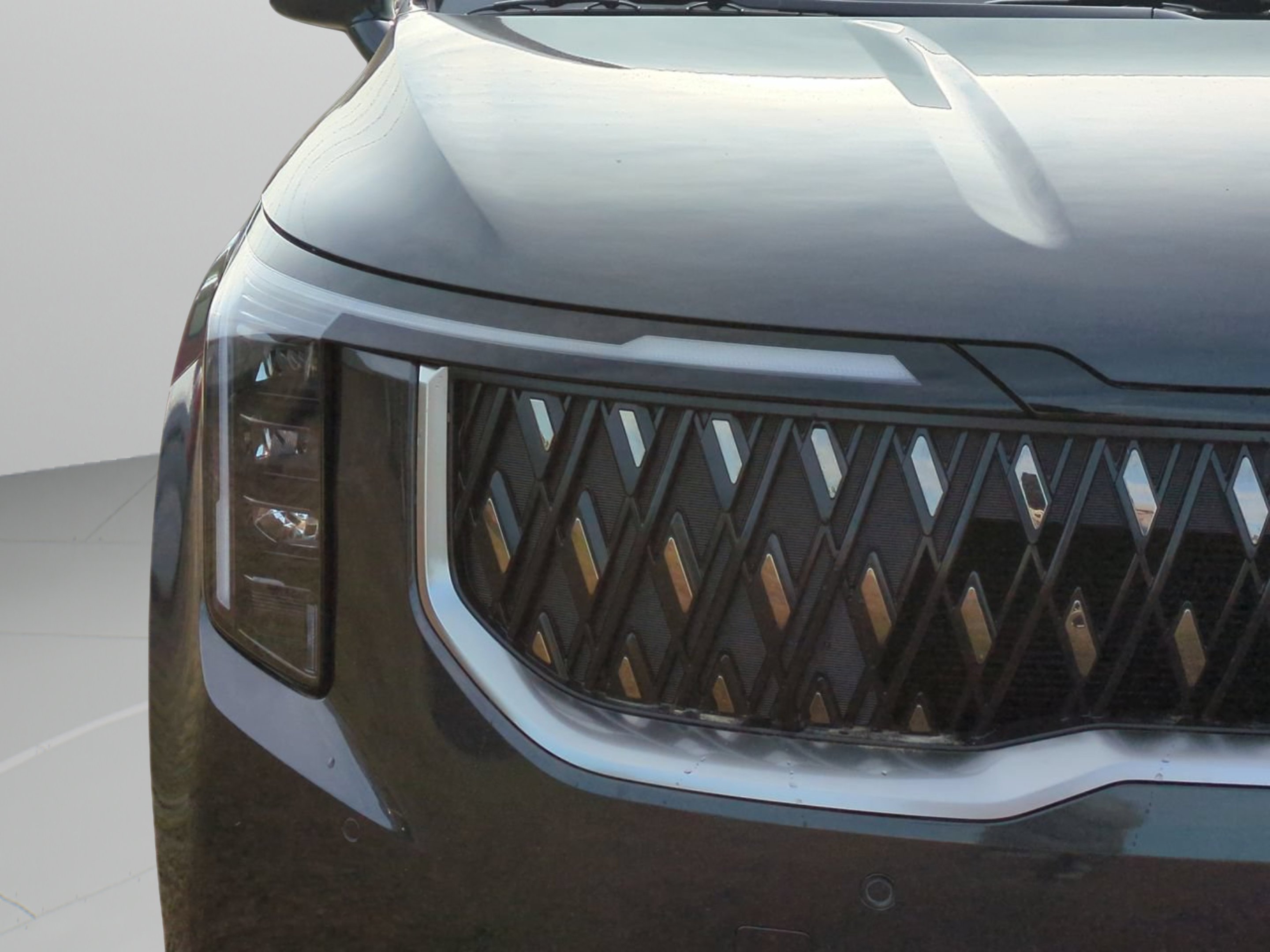 New 2026 Panthera Metal Kia LXS image 31