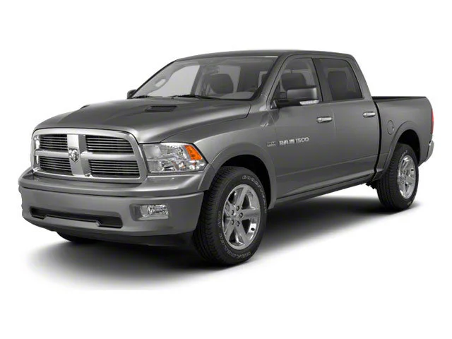 Used 2010 Brilliant Black Pearl Dodge Sport image 1