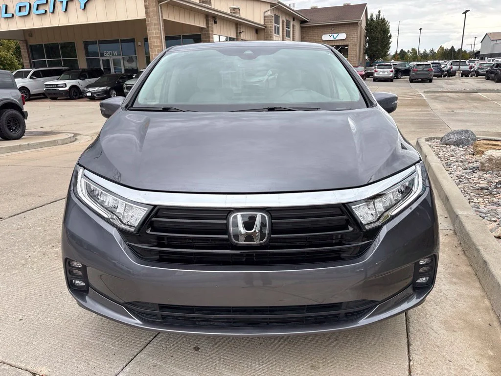 Used 2024 Gray Honda EX-L image 2