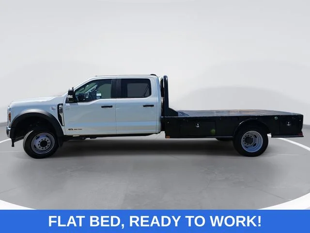 Used 2024 White Ford XL image 4