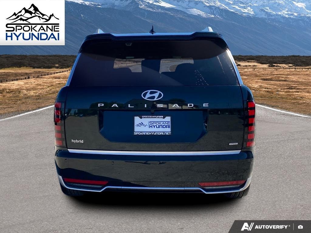 New 2026 ROBUST EMERALD HYUNDAI CALLIGRAPHY image 4