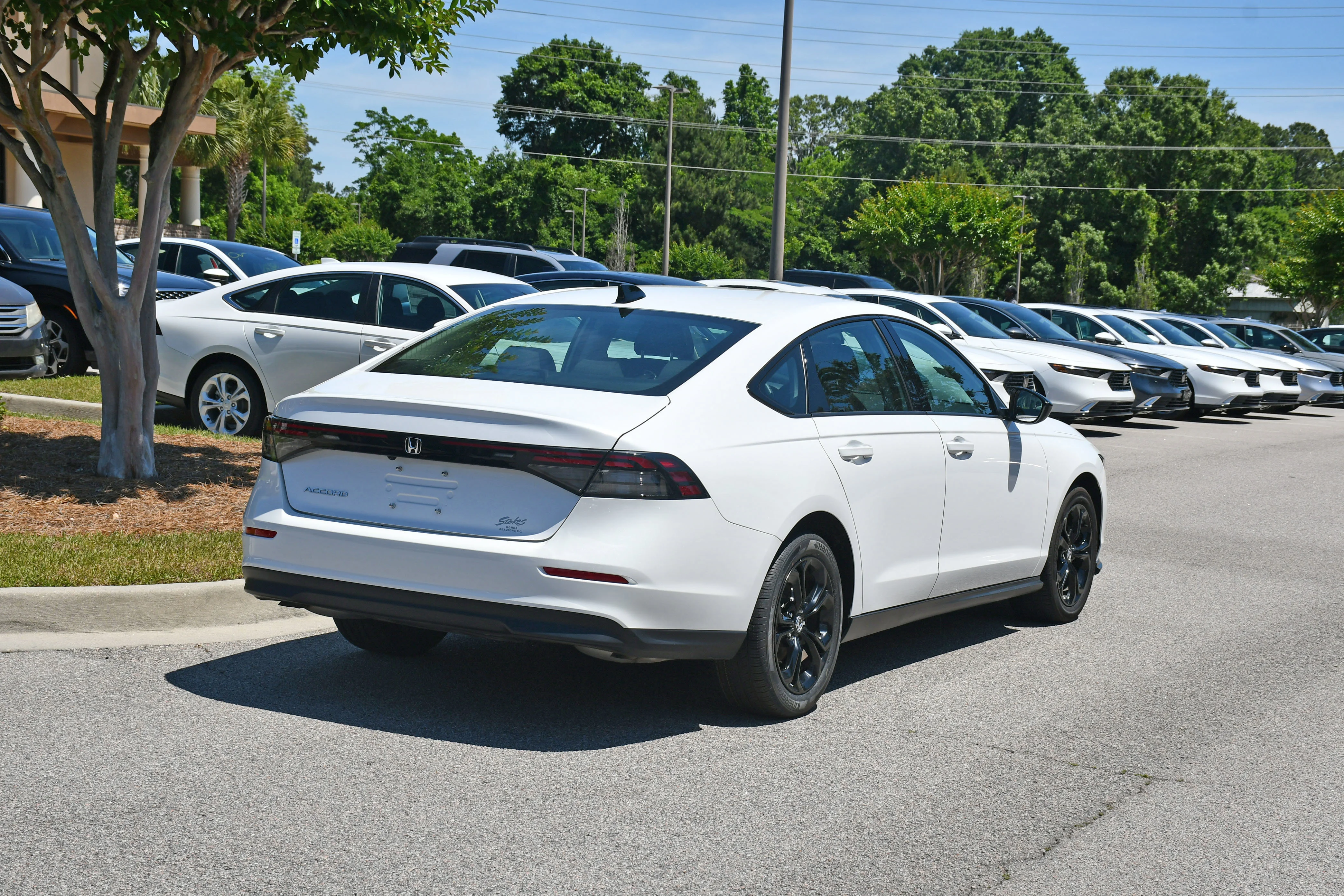 Used 2025  Honda SE image 4