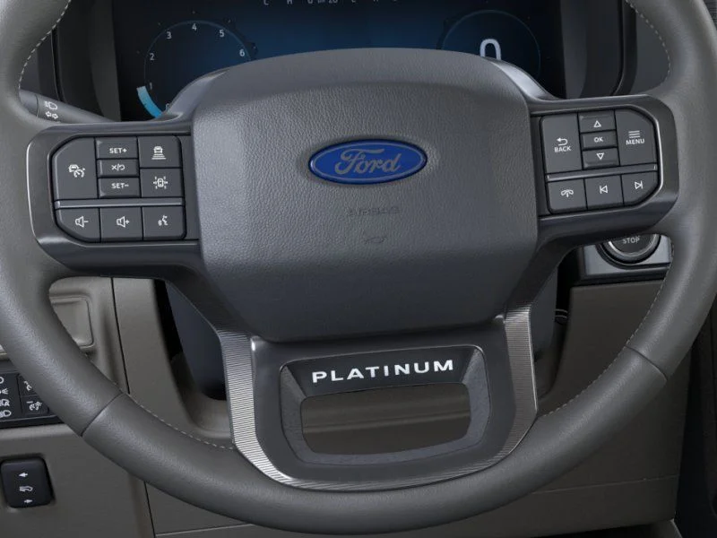 New 2026 Black Ford Platinum image 12