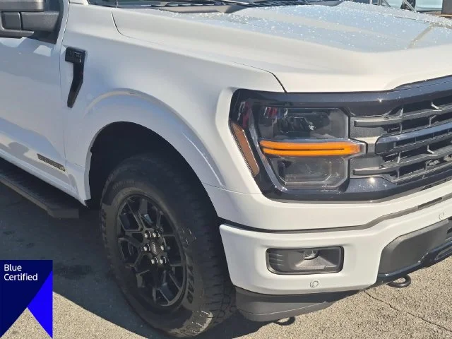 Used 2025 White Ford XLT image 9