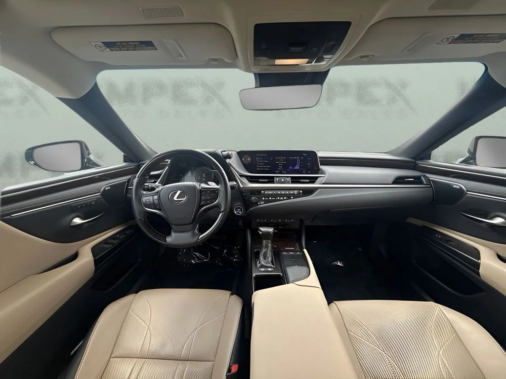 Used 2019 Black Lexus 300h Luxury image 8