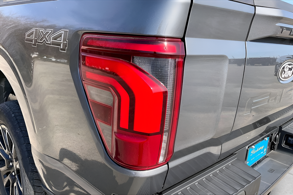 New 2025 Gray Ford Platinum image 15