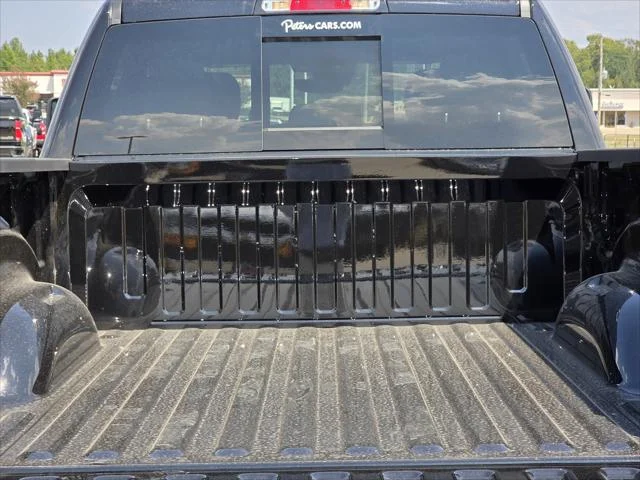 New 2027 Diamond Black Crystal Pearl-Coat Exterior Paint RAM Big Horn/Lone Star image 6