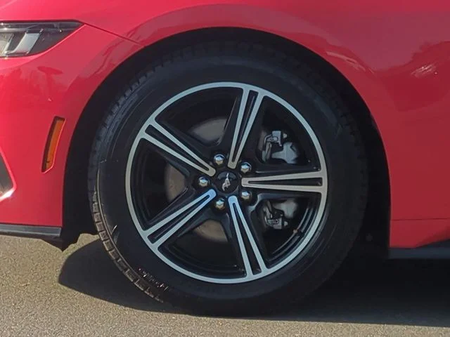 Used 2024 Red Ford EcoBoost Premium image 17