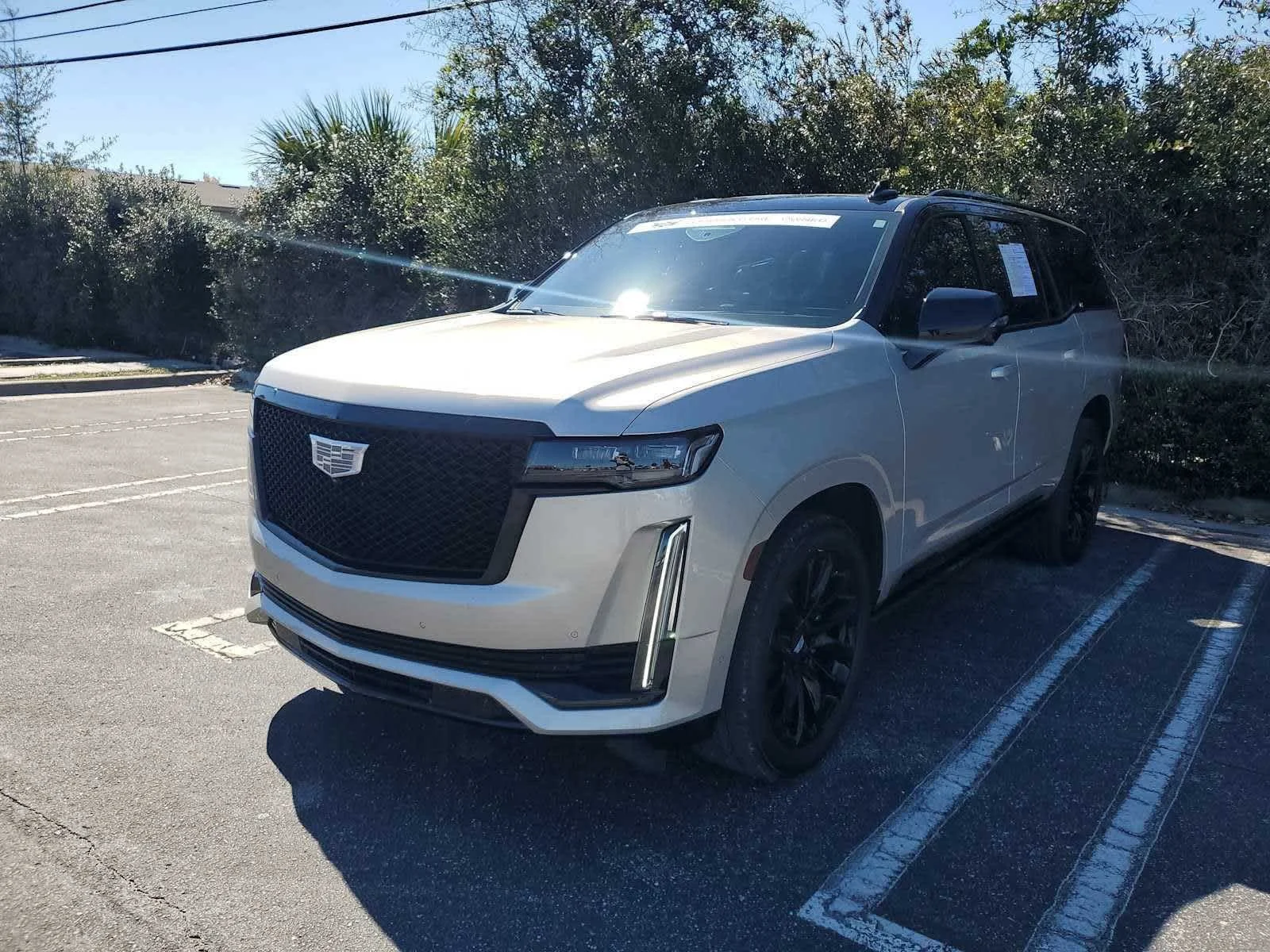 2024 Cadillac Escalade 4WD Sport Platinum's photo