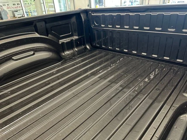 New 2026 Granite Crystal Metallic Clear-Coat Exterior Paint RAM Big Horn/Lone Star image 21