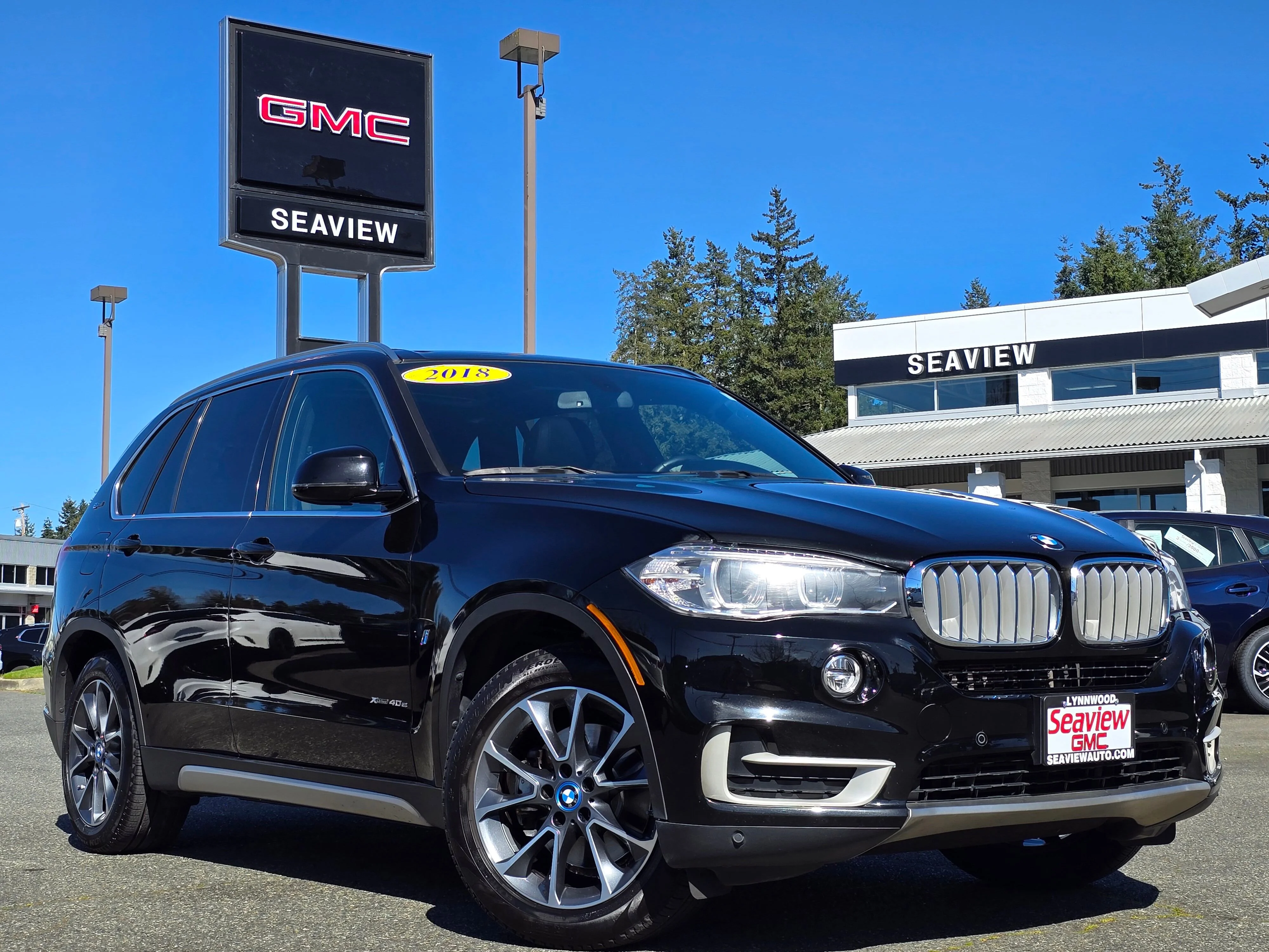2018 BMW X5 xDrive40e's photo