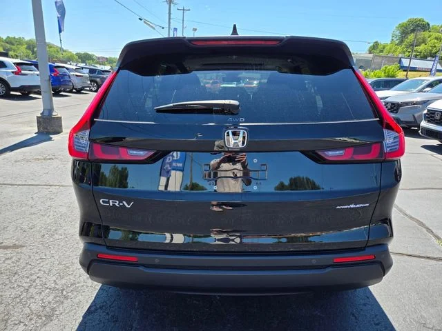 Used 2024 Black Honda EX-L image 7