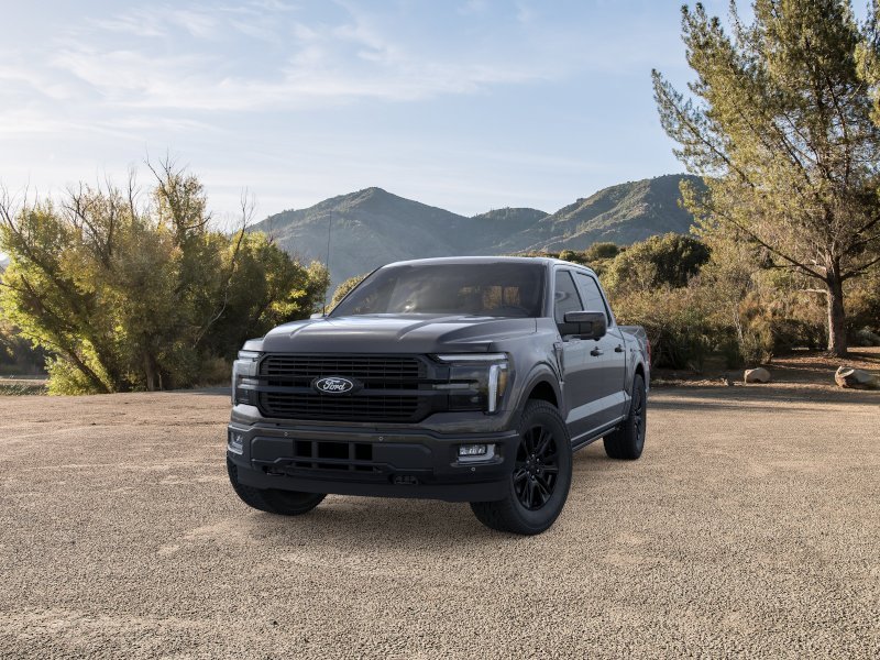 New 2025 Agate Black Metallic Ford Platinum® image 24