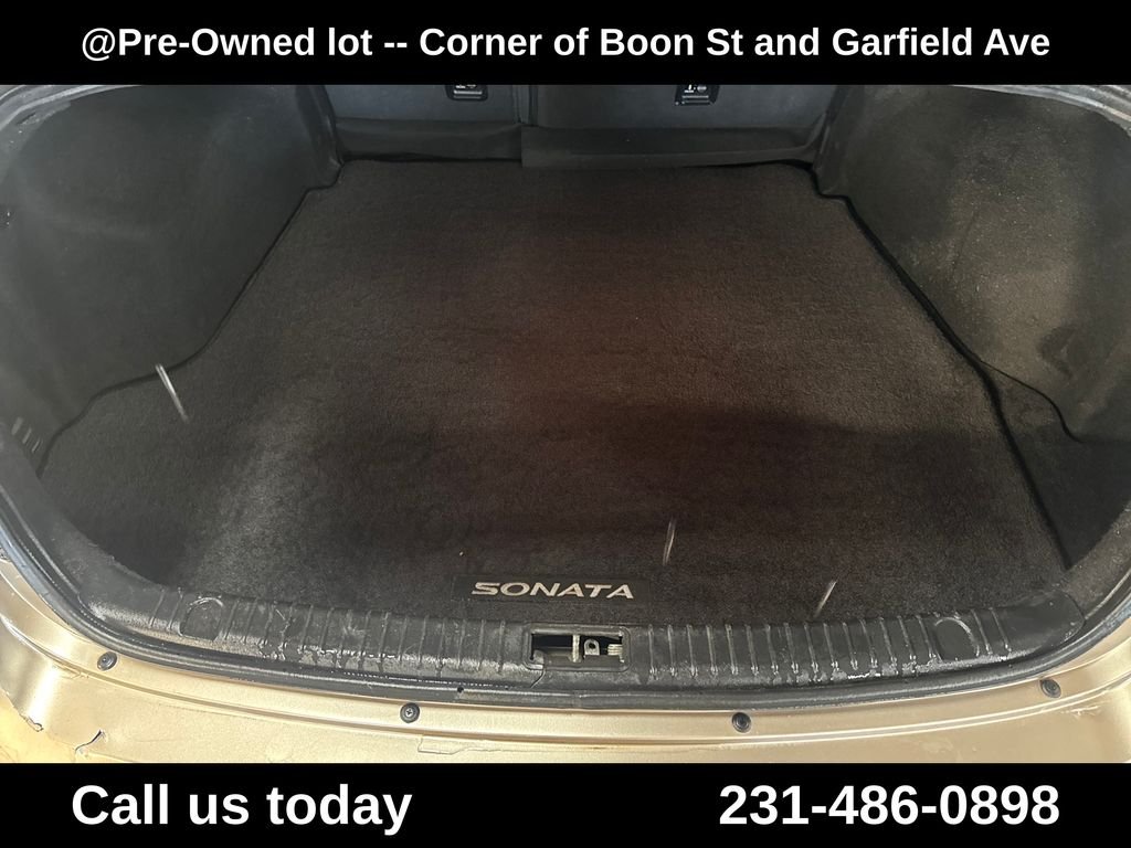 Used 2008 Beige Hyundai GLS image 27