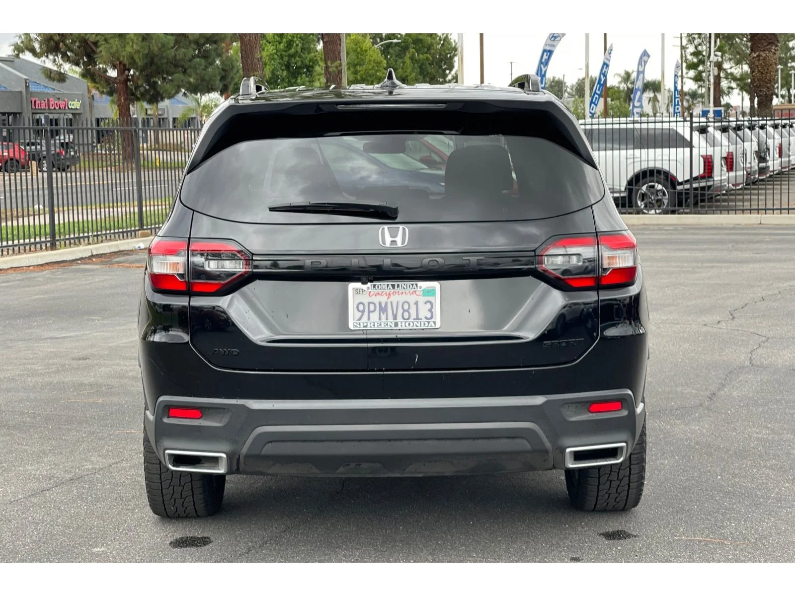 Used 2025 Crystal Black Pearl Honda Sport image 4