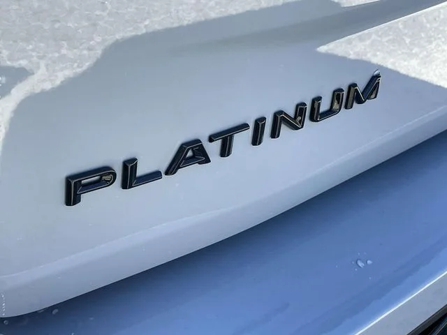 New 2026 Gray Ford Platinum image 22