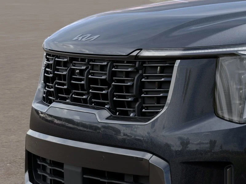 New 2026 Panthera Metal Kia X-Pro SX Prestige image 12