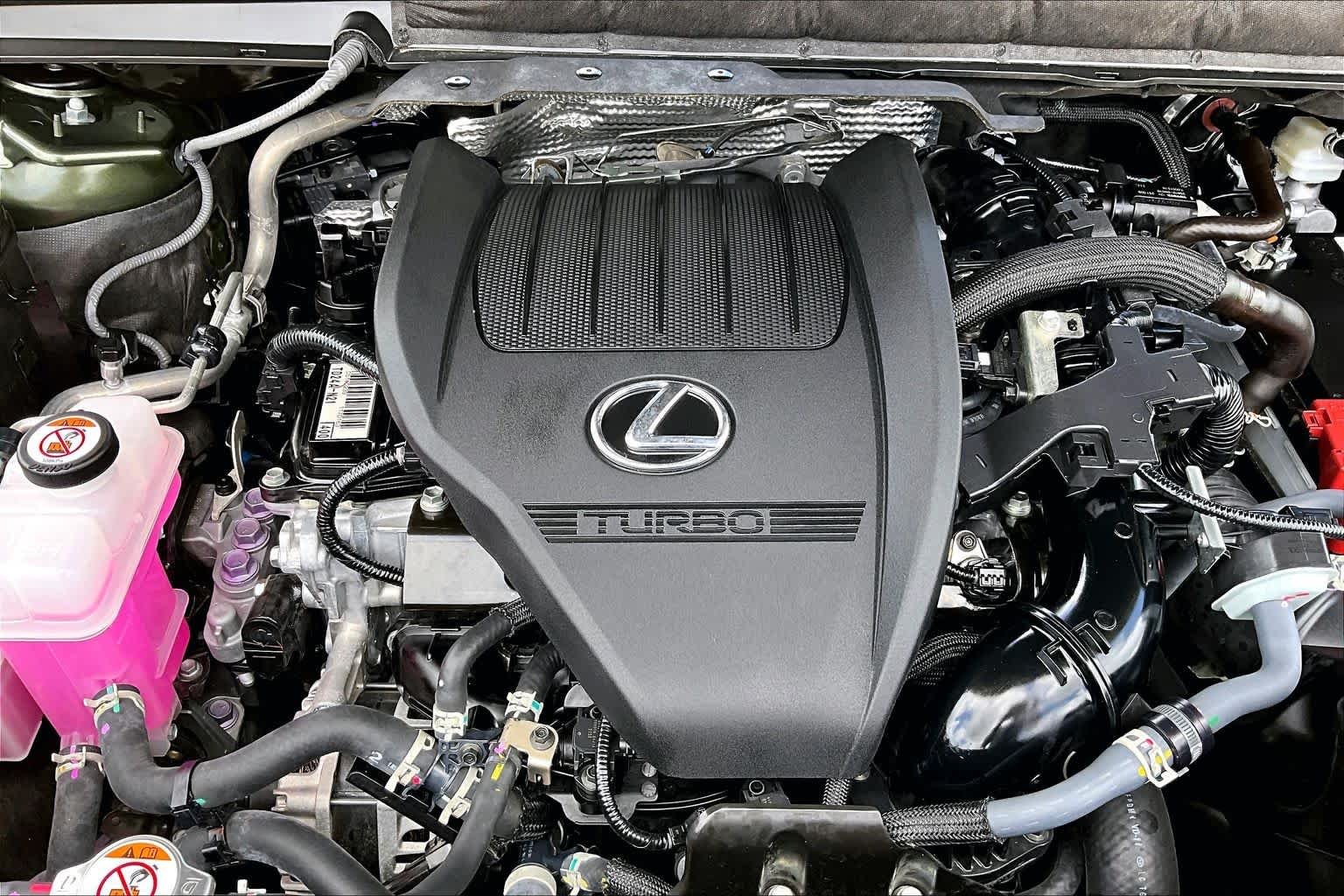 Used 2025 Nori Green Pearl Lexus Premium Plus image 33