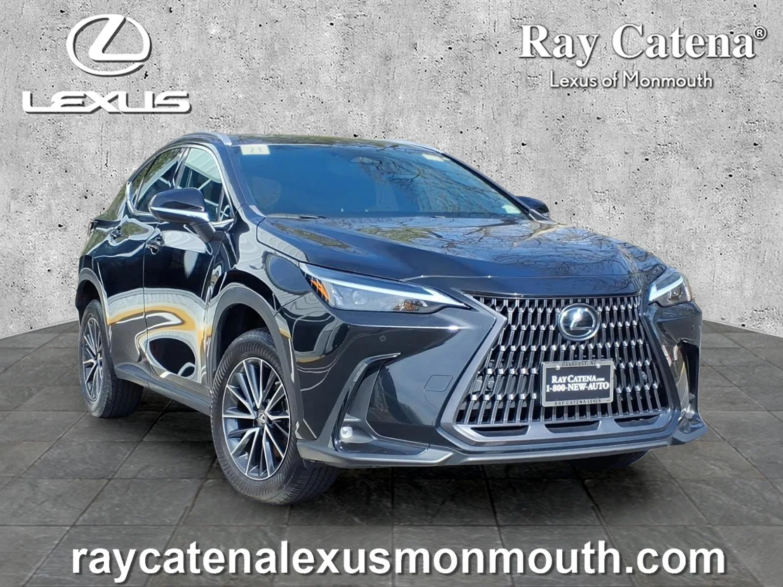 2023 Lexus NX