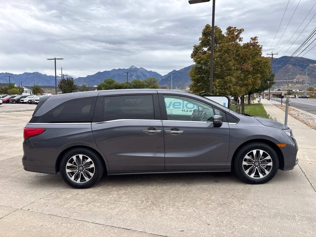 Used 2024 Gray Honda EX-L image 3