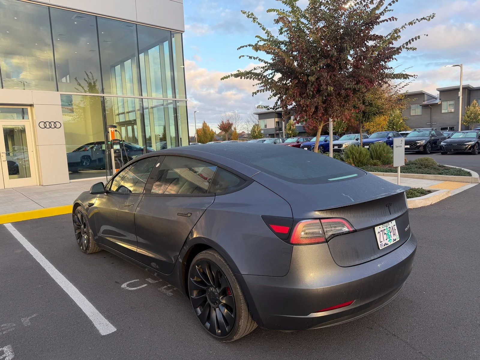 Used 2023 Gray Tesla Performance image 3