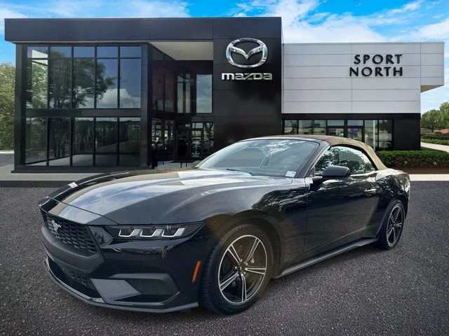Used 2024 Black Ford EcoBoost Premium image 7