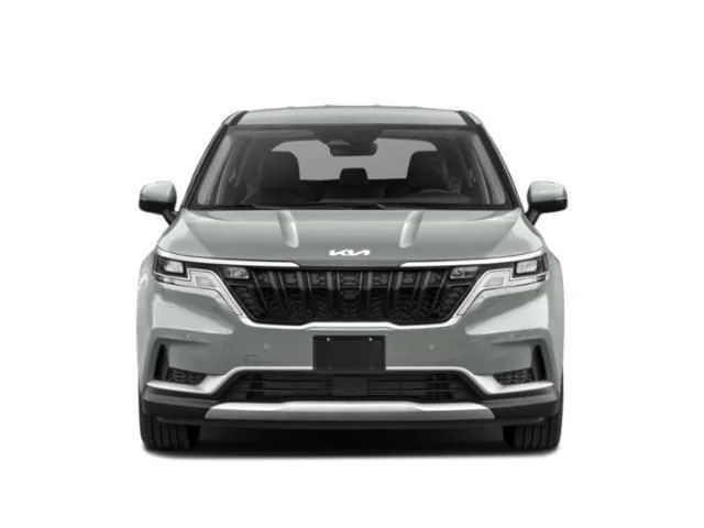 Used 2024 Panthera Metal Kia EX image 5