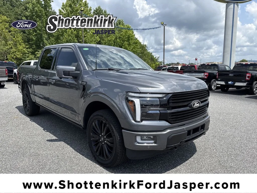 Used 2025 Gray Ford Platinum image 1