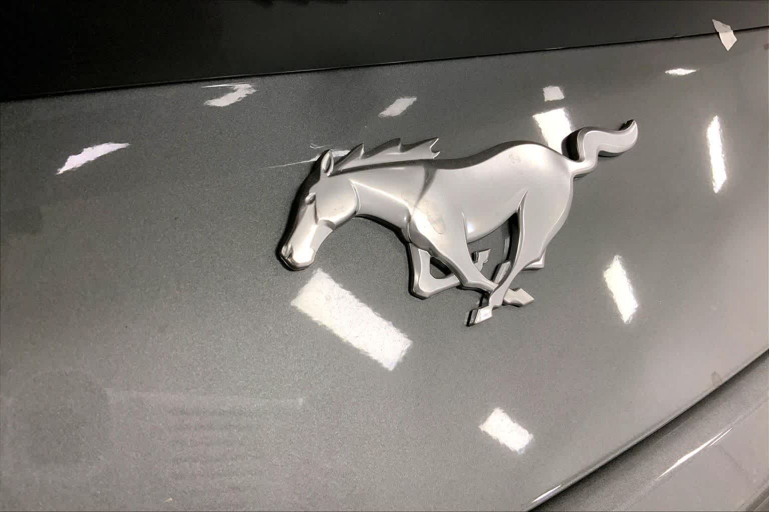 New 2026 Carbonized Gray Metallic Ford EcoBoost® Fastback image 12