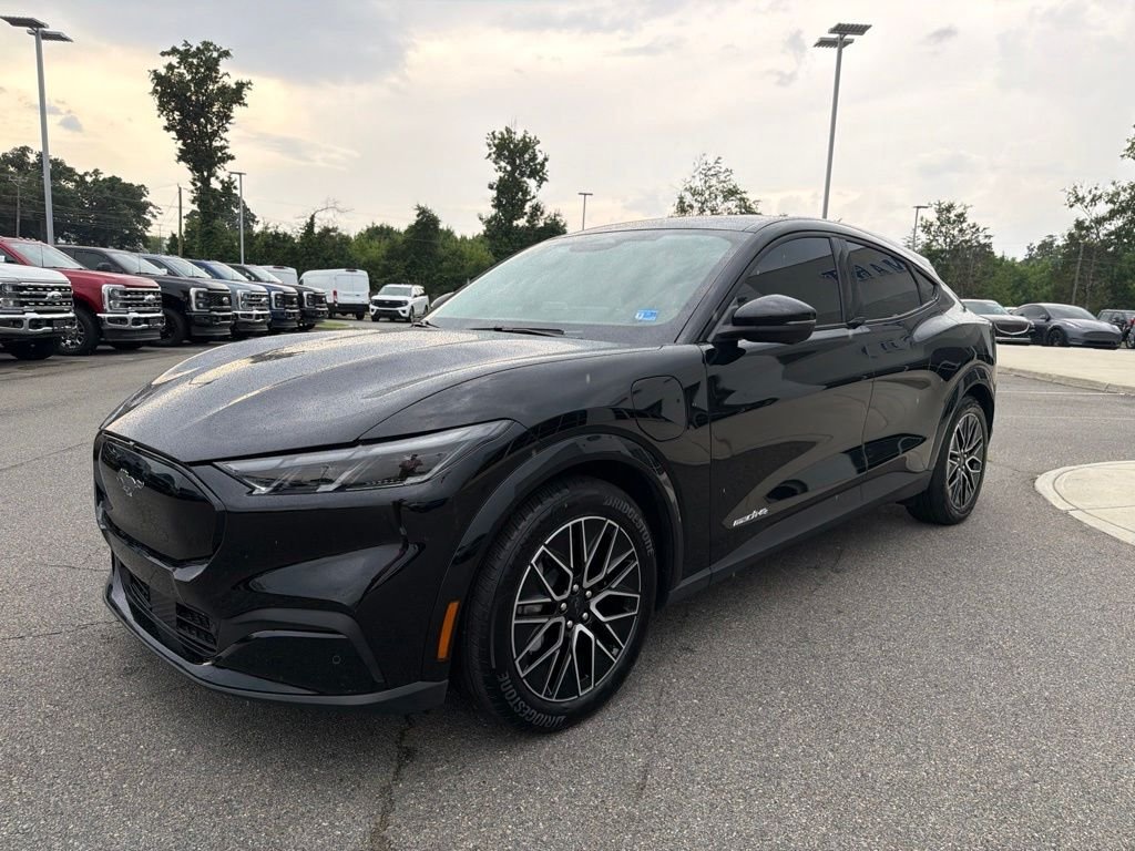 Used 2025 Shadow Black Ford Premium image 8