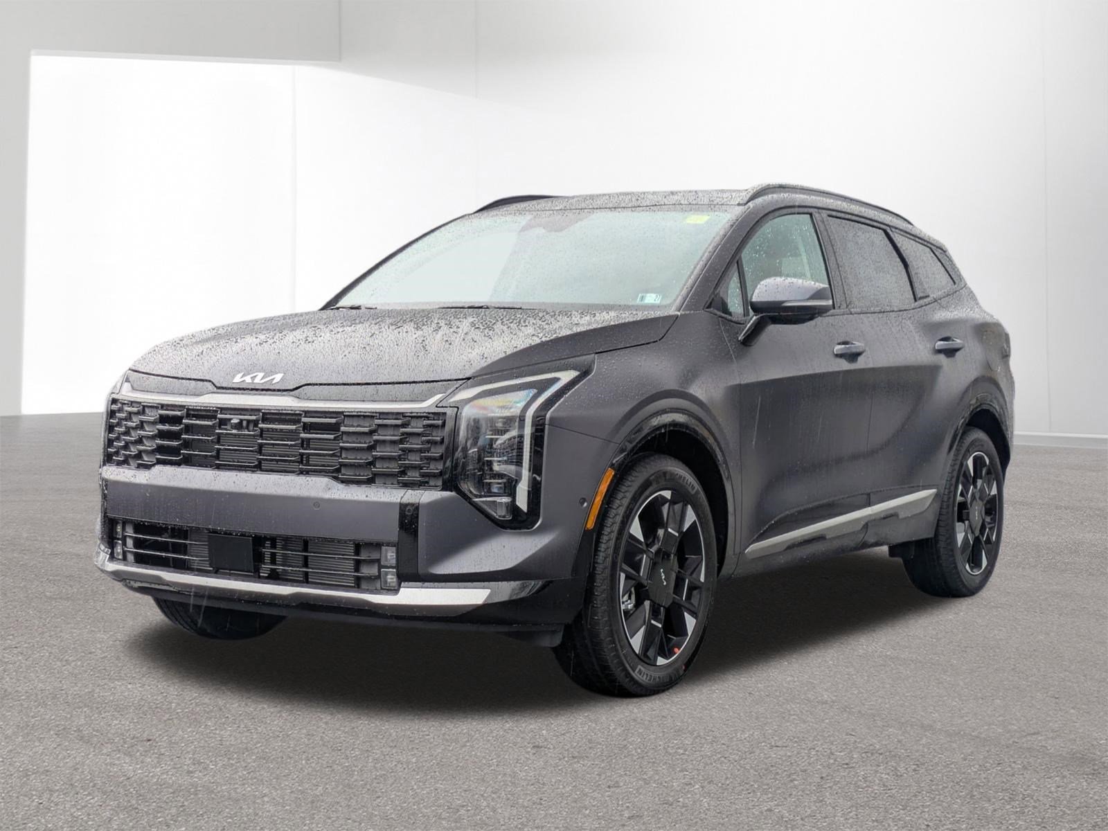 New 2026 Panthera Metal Matte Kia SX Prestige image 3