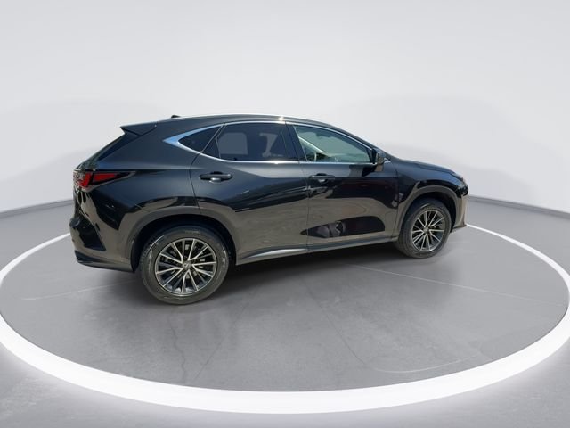 2024 Lexus NX 250 - Photo 8