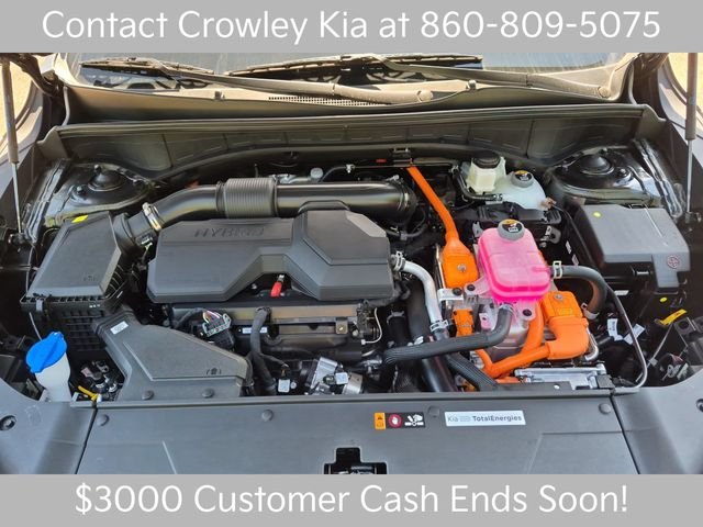 New 2026 Interstellar Gray Kia EX image 30