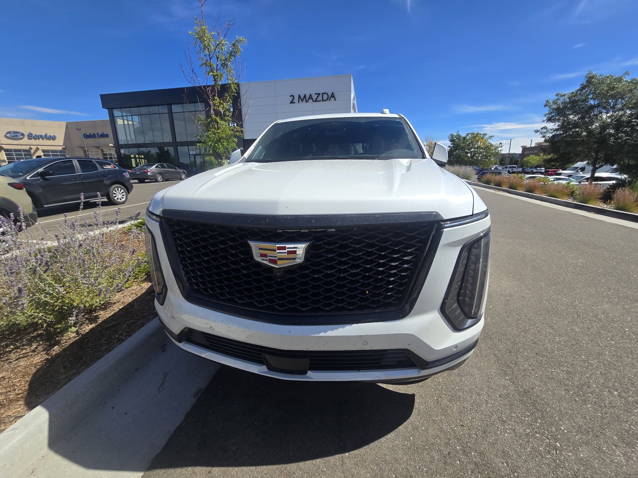 Used 2025 Crystal White Tricoat Cadillac 4WD Sport Platinum image 8