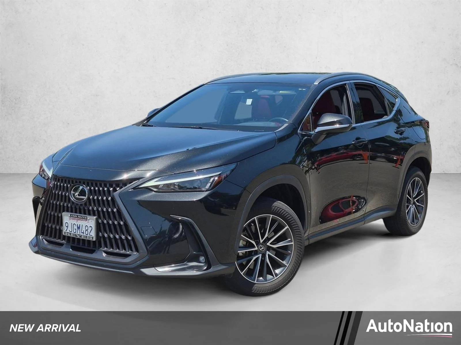 2024 Lexus NX 350h 350h AWD's photo