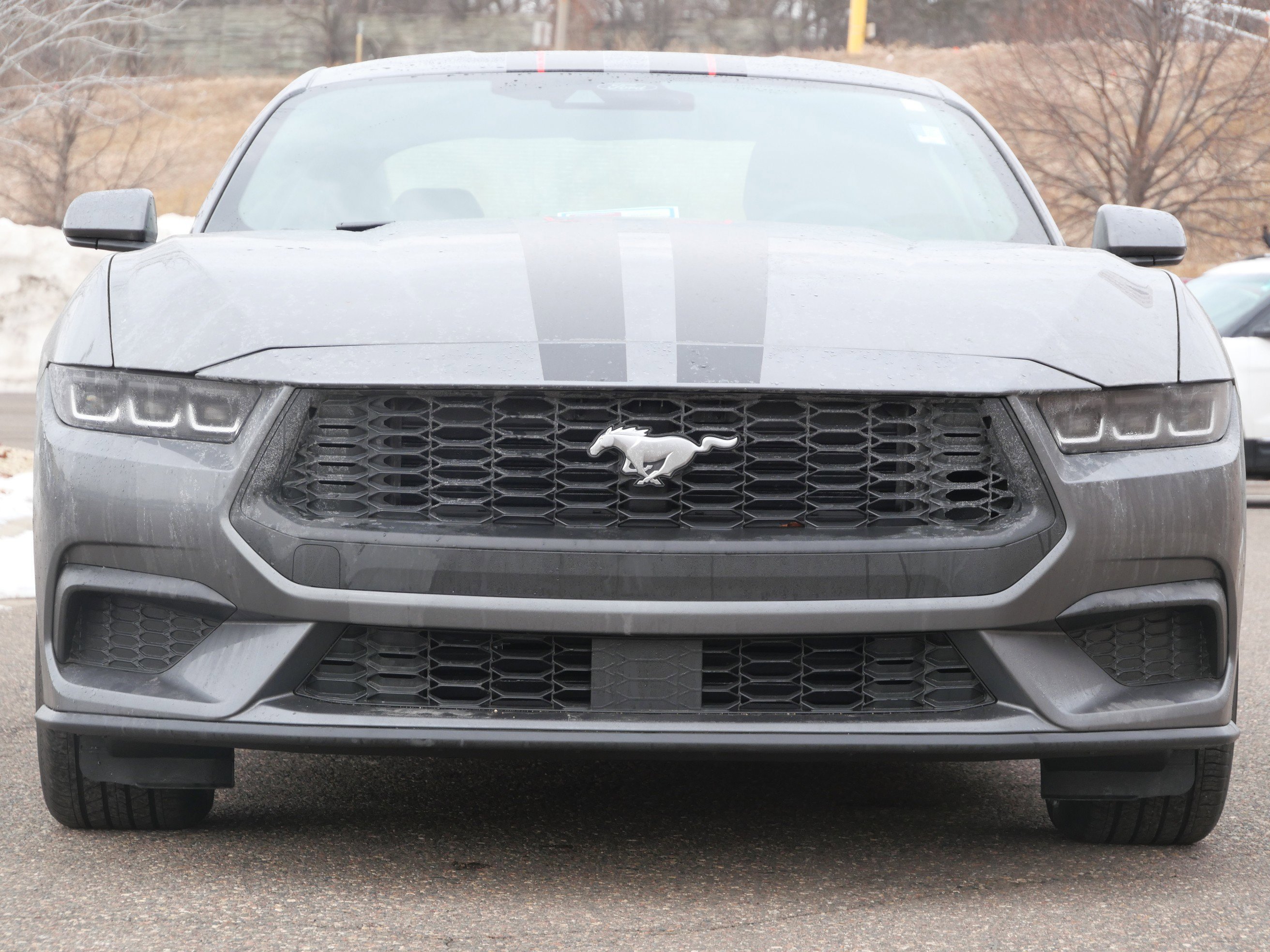 Certified 2025 Ford Mustang EcoBoost Premium with VIN 1FA6P8TH8S5103295 for sale in Eden Prairie, Minnesota