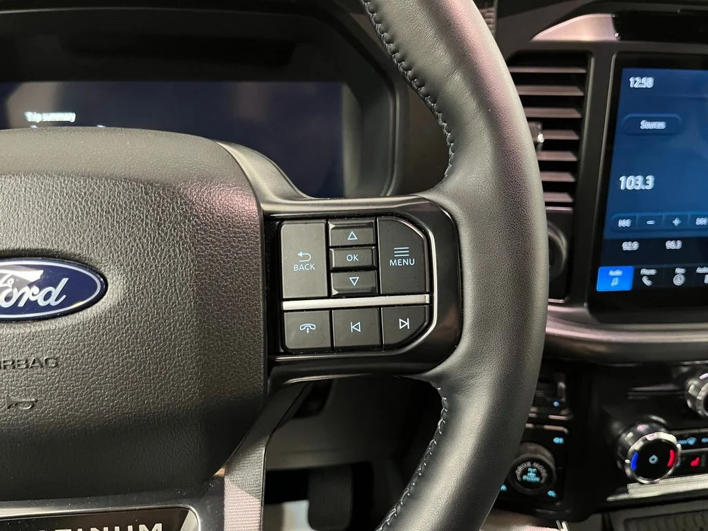 Used 2025 Gray Ford Platinum image 30
